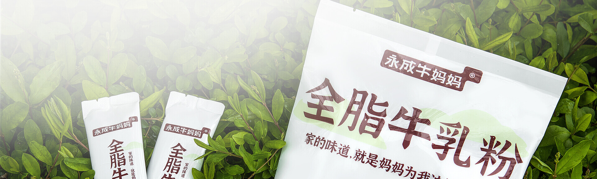 溯源监管